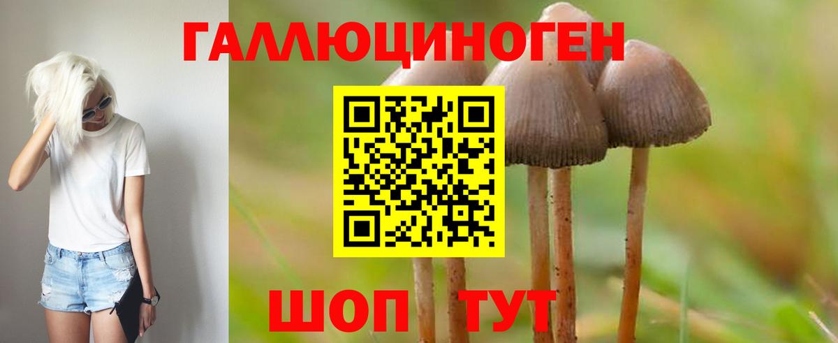Галлюциногенные грибы GOLDEN TEACHER Пенза