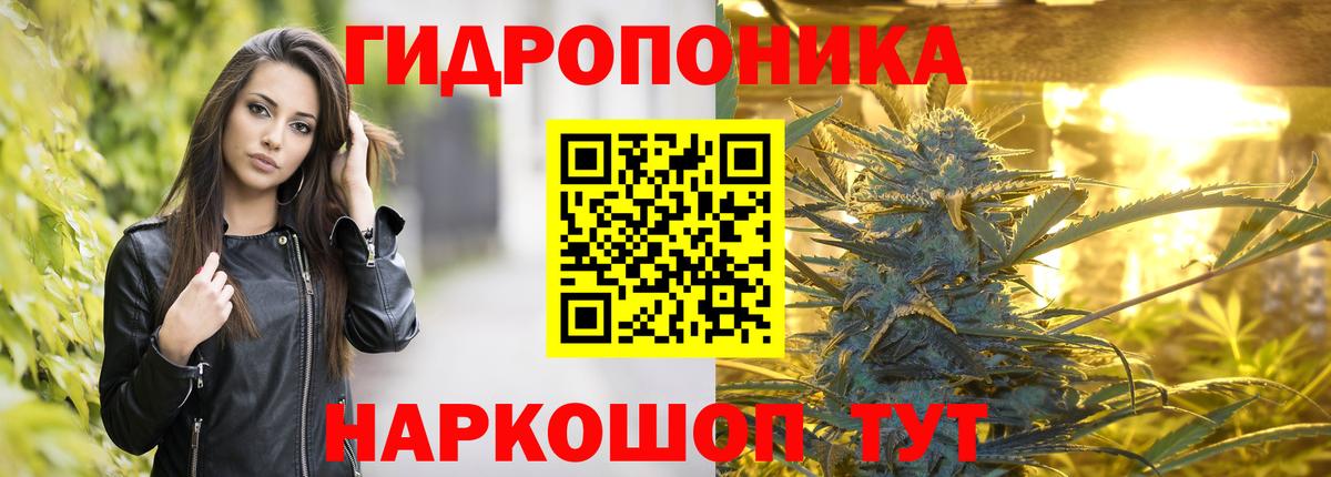Пенза  Бошки Шишки MAZAR  Вход с VPN  Канабис семена  Бошки марихуана гибрид 